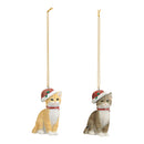 Weihnachtshänger Katze mit Weihnachtsmütze aus Poly, 2-fach, Beige/Braun (B/H/T) 6x9x4cm