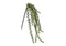 Kunstblume Zeder hängend aus Kunststoff grün (B/H/T) 13x119x13cm