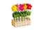 Blumenstecker Filzblume, sortiert, B6 x H25 cm