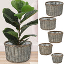 Pflanzkorb, Rattan, 5er Set, ca. 37cmD