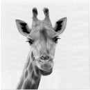 Servietten Giraffe, 20er Pack